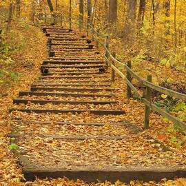 Autumn Stairway  by Lori Frisch