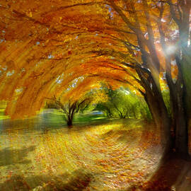 Autumn Swirl - Surreal fall scene with Maple in Motion  by Peter Herman