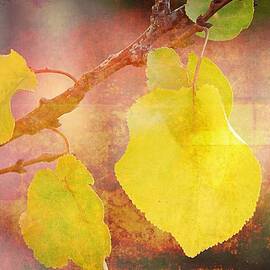 Autumn Tones by Louise Merigot