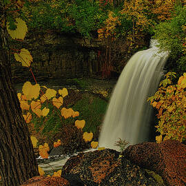 Autumn Treasures by Scott Mohn