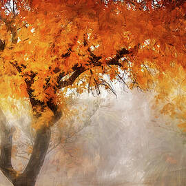 Autumn Tree Glory by Terry Davis