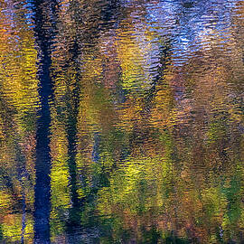 Autumn Tree Reflections Abstract by Stuart Litoff