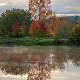 Autumn Trees at Cheadle Lake by Catherine Avilez