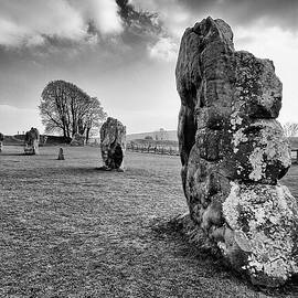 Avebury Henge #1 by Shirley Mitchell