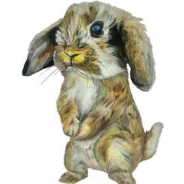 Baby Hare by Maria Sibireva