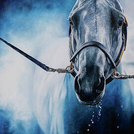Back in the Washrack  by JONI BEINBORN