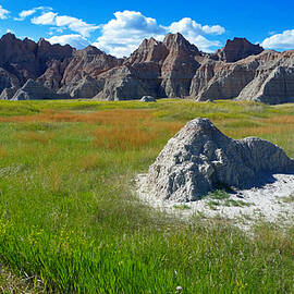 Badlands In June  by Ally White