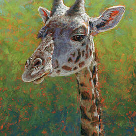 Bailey Giraffe Portrait by Kathie Miller