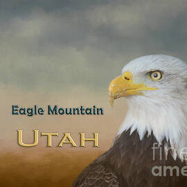 Bald Eagle Eagle Mountain Utah by Elisabeth Lucas