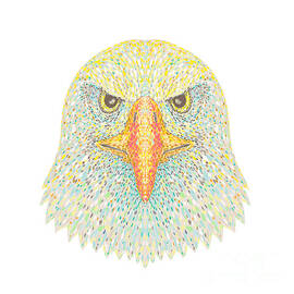 Bald Eagle Head Front View Pointillist Impressionist Pop Art Style by Aloysius Patrimonio