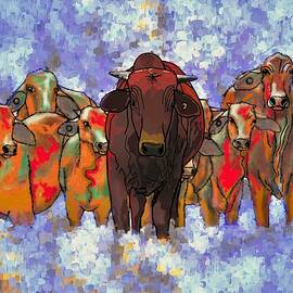 Bangerang The Bull And Friends by Joan Stratton