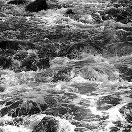 Baptism River in Black and White by Tom Halseth