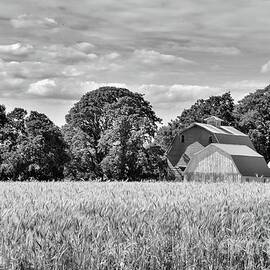 Barns In A Field Of Wheat - Black And White by Beautiful Oregon