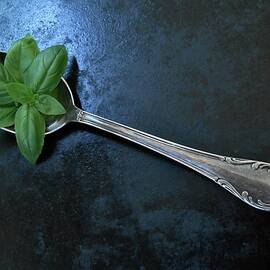 Basil on a Silver Spoon by E Hollender