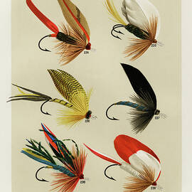Bass Fishing Flies III from Favorite Flies and Their Histories by Mary Orvis Marbury