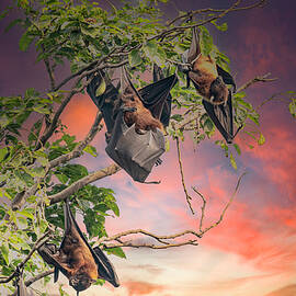 Bats on a tree by Pravine Chester