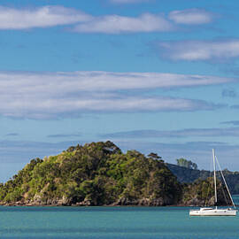 Bay of Islands, New Zealand #10 by Elaine Teague