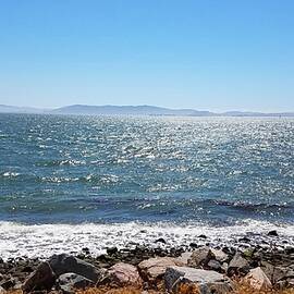 Bay View from the Shores of Alameda by Troy Wilson-Ripsom