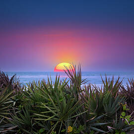 Beach Sunrise by Mark Andrew Thomas