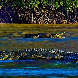 Beach View Male And Female Crocodiles Torres Strait Queensland by Joan Stratton