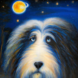 Bearded Collie Dog Portrait by StellArt Studio