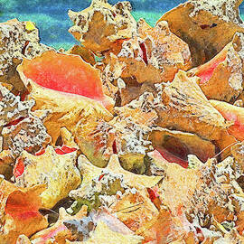 Beautiful Conchs Impressionism by Island Hoppers Art