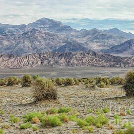 Beautiful landscape in Death Valley, California, USA by Patricia Hofmeester
