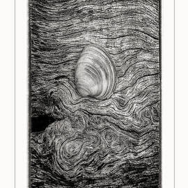 Beauty Left Behind-2-BW