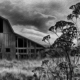 Beauty Of Barns 17 by Bob Christopher