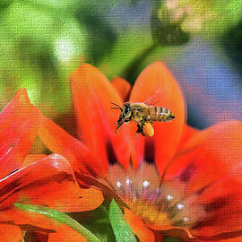 Bee On Your Way by Linda Brody