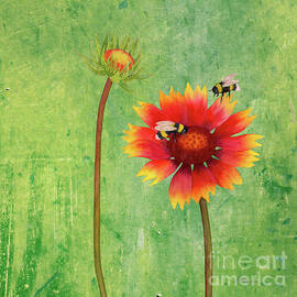 Bees on a Blanket - green background by Hailey E Herrera