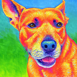 Fluorescent Orange Dog