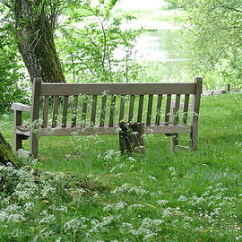Bench With A Lake View by Lynne Iddon