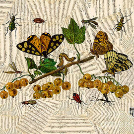 Berries, leaves, butterflies, beetles against the background of a collage sheet music score by Elena Gantchikova