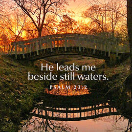 Beside Still Waters by Greg Lane