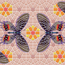 Bhutan Butterfly 2 Hexagon Panel by Tim Phelps