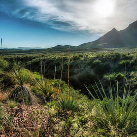 Big Bend