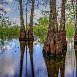 Big Cypress Swamp 2020 by Joey Waves