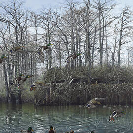 Big Daddy Greenheads by Glenn Pollard