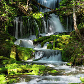 Big Spring Creek Falls, Washington by Randy D Morrison