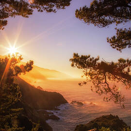 Big Sur Morning Light by Vincent James