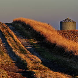 Bin There -  rutted grass trail by an old grain bin in Benson County ND by Peter Herman