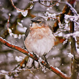 Bird In A Winter Storm 001 by George Bostian