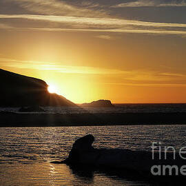 Bird Island Sunset At Harris Beach State Park Oregon by Michele Hancock Photography