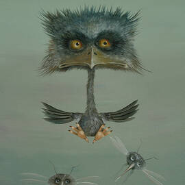Bird of Prey by Ed Schaap