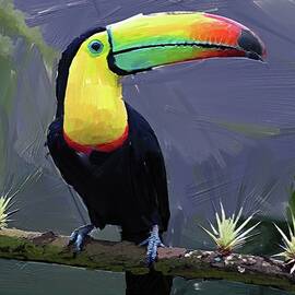 Bird painting of tropical toucan by Gerry Martinez Nature Wall Art Large Prints