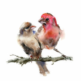 Birds  by Olga Tchefranov