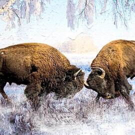 Bison battle  by Laura Vanatka