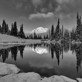 Black and White First Snow  by Lynn Hopwood