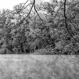 Black And White Mist On Churchville Reservoir by Denise Harty